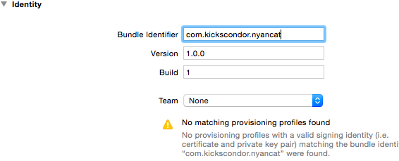 Xcode Identity Settings